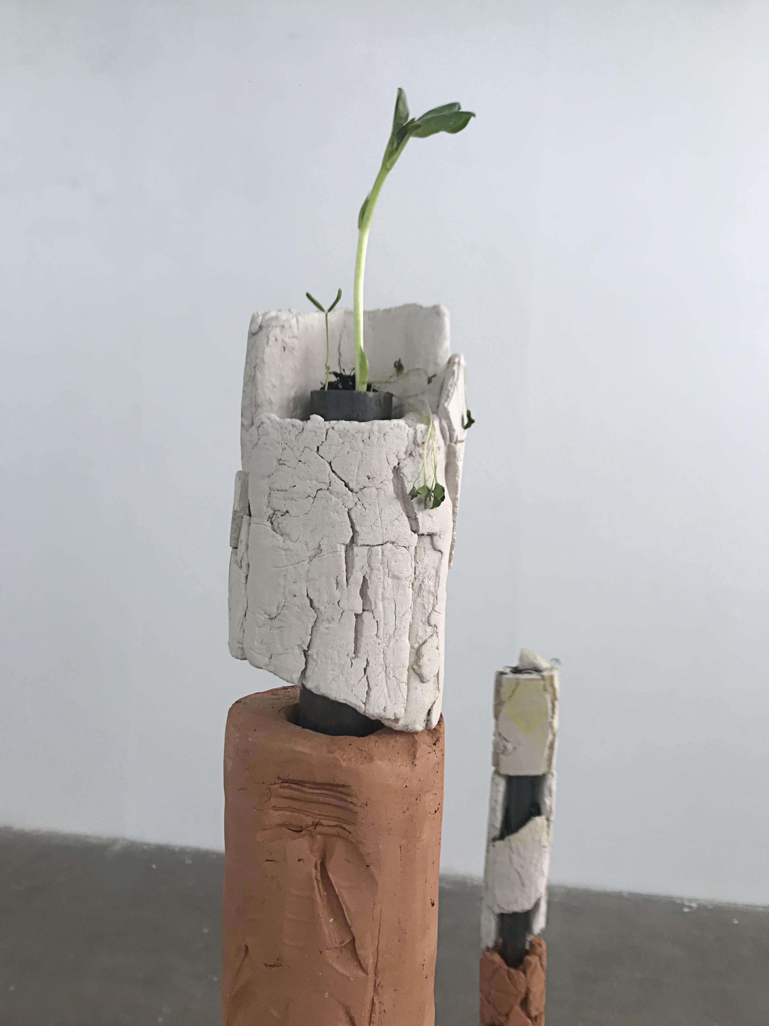 Totems